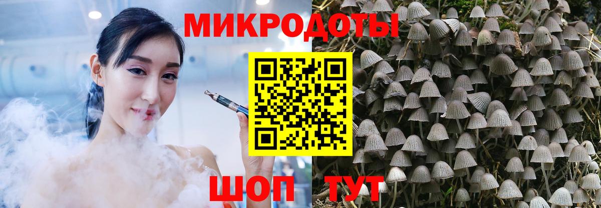 Псилоцибиновые грибы ЛСД Тельмана