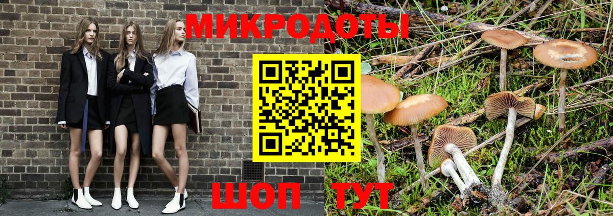 Галлюциногенные грибы Cubensis  Псилоцибиновые грибы GOLDEN TEACHER  Тельмана  Вход с VPN 